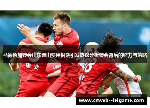 马德鲁加转会山东泰山费用揭晓引发热议分析转会背后的财力与策略