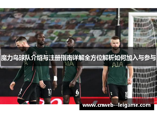 魔力鸟球队介绍与注册指南详解全方位解析如何加入与参与