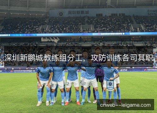 深圳新鹏城教练组分工，攻防训练各司其职